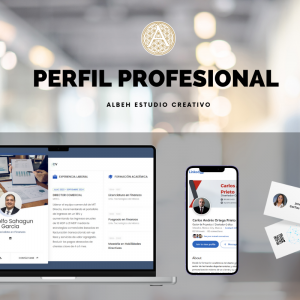 Kit Profesional / Perfil Profesional