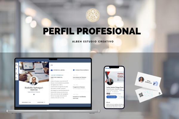Kit Profesional / Perfil Profesional