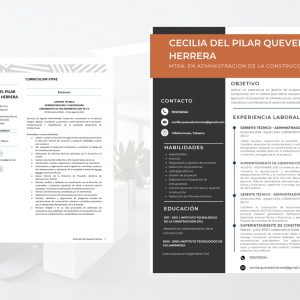 ActualizaciĂ³n de CV